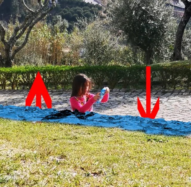 acertijo visual