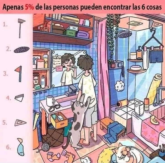 reto visual 