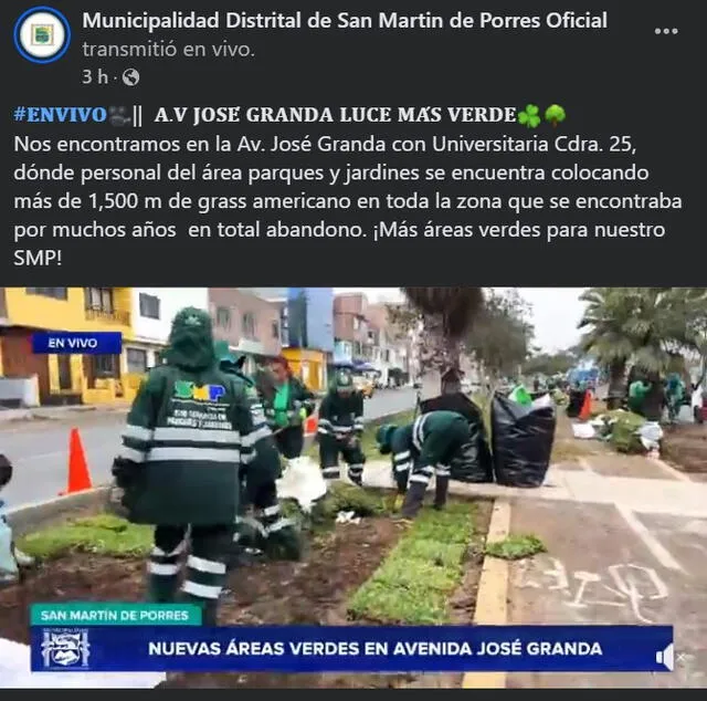municipalidad de San Martín de Porres