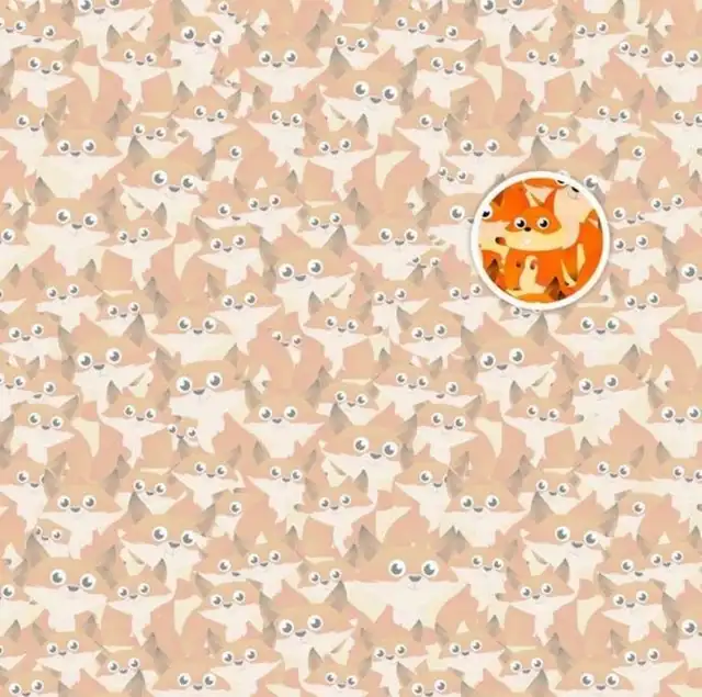 reto visual, acertijos visuales, retos de internet