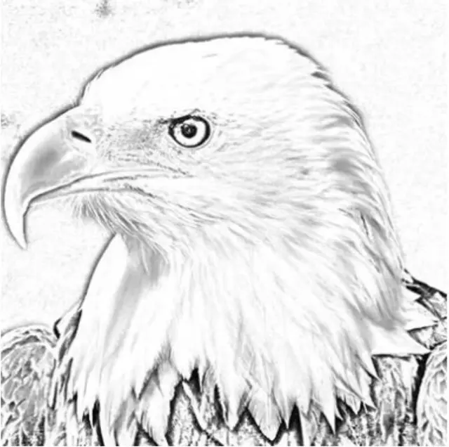 reto visual reto visual