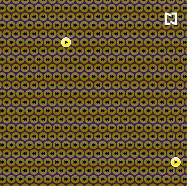 acertijos virales, retos visuales