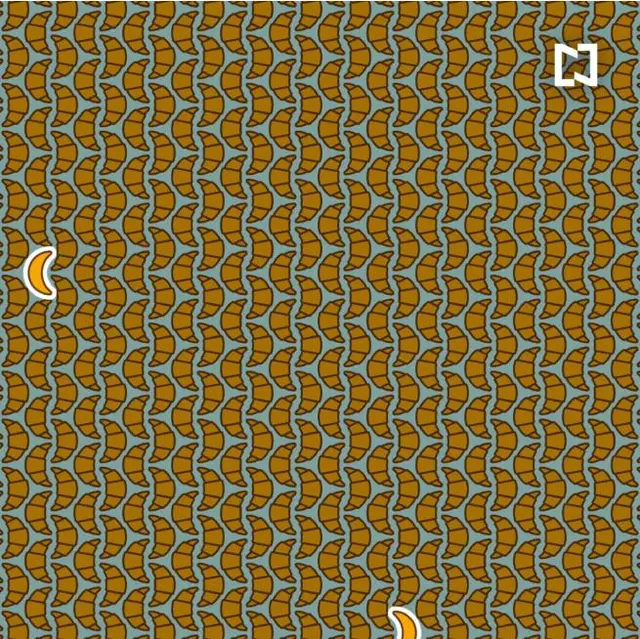 retos visuales, retos virales