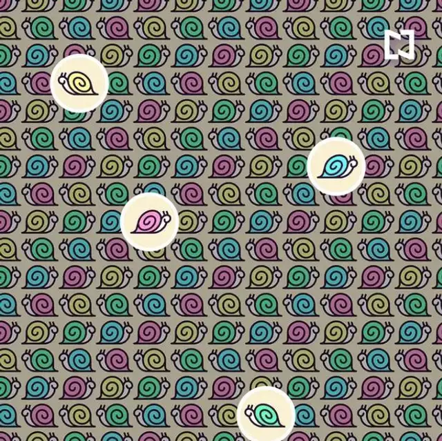 Reto visual, desafio visual, retos de internet