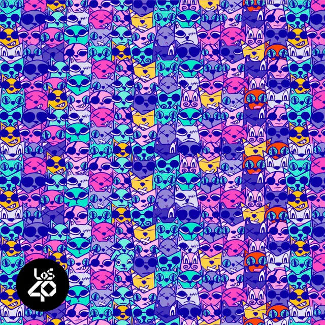 ¿Hallaste al cachorro entre los gatos? Lee la respuesta líneas más abajo. ¿Hallaste al cachorro entre los gatos? Lee la respuesta líneas más abajo.