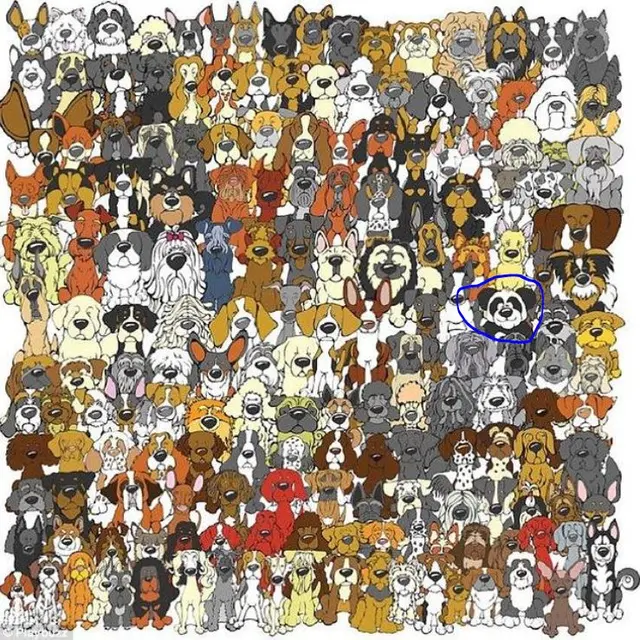 Reto visual resuelto Reto visual resuelto