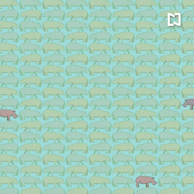 Solución al reto visual de encontrar a los rinocerontes ocultos