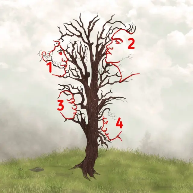 Reto visual Reto visual