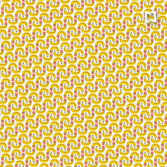 Reto visual, acertijo visual