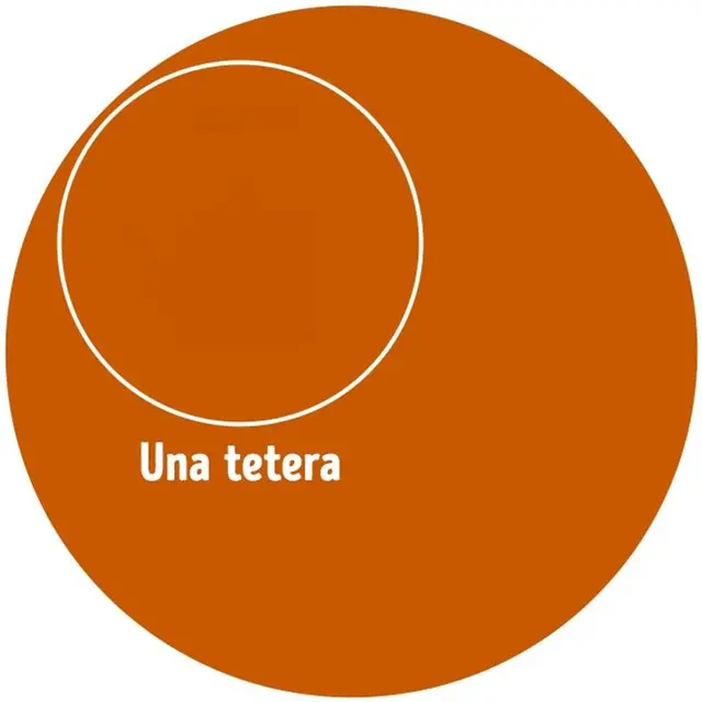 reto visual reto viral reto visual reto viral