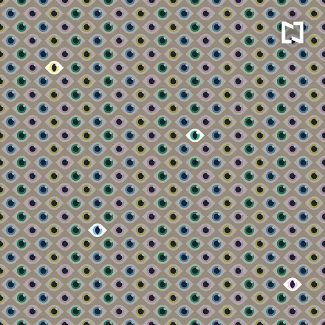 retos visuales, retos virales
