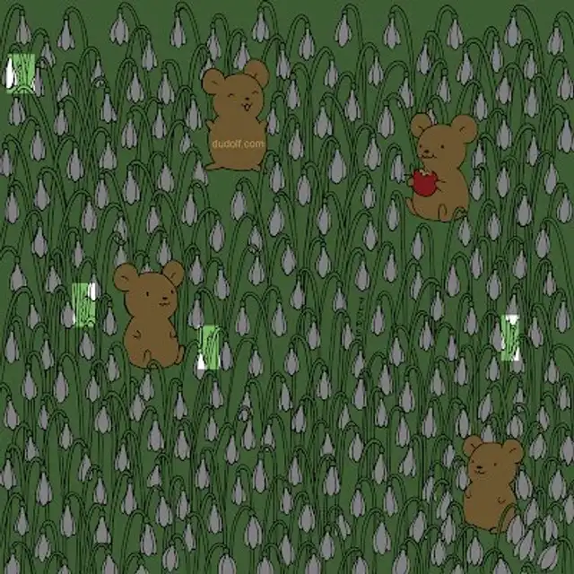 reto visual orugas flores acertijo viral redes sociales