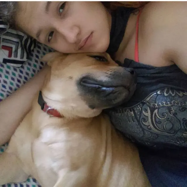 perro adoptar busca perdido redes sociales