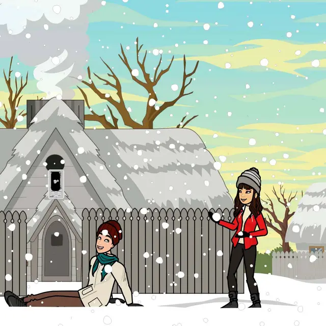 reto visual, error en la nieve, imagen completa.