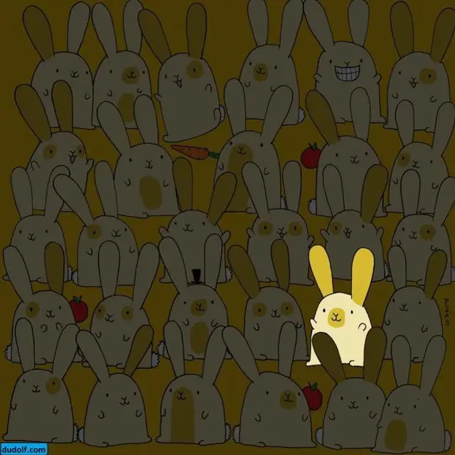 Reto visual Reto visual