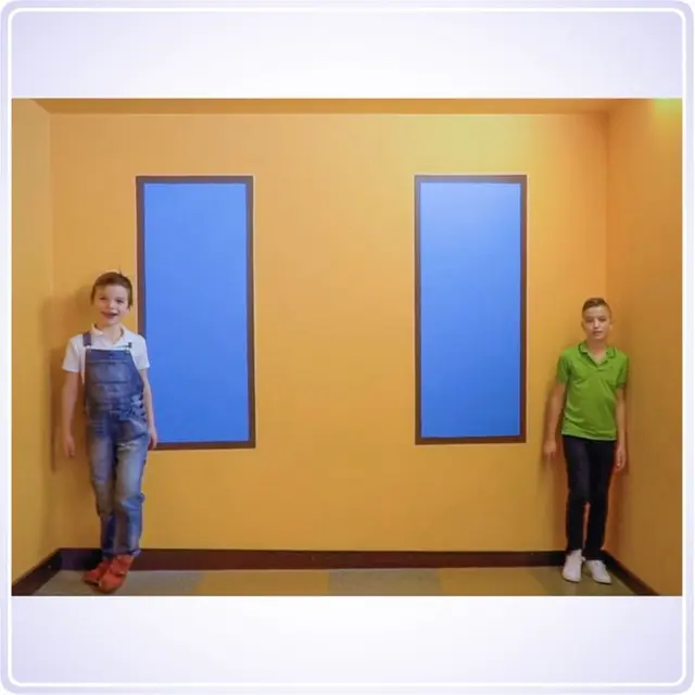 Ilusión óptica, imagen