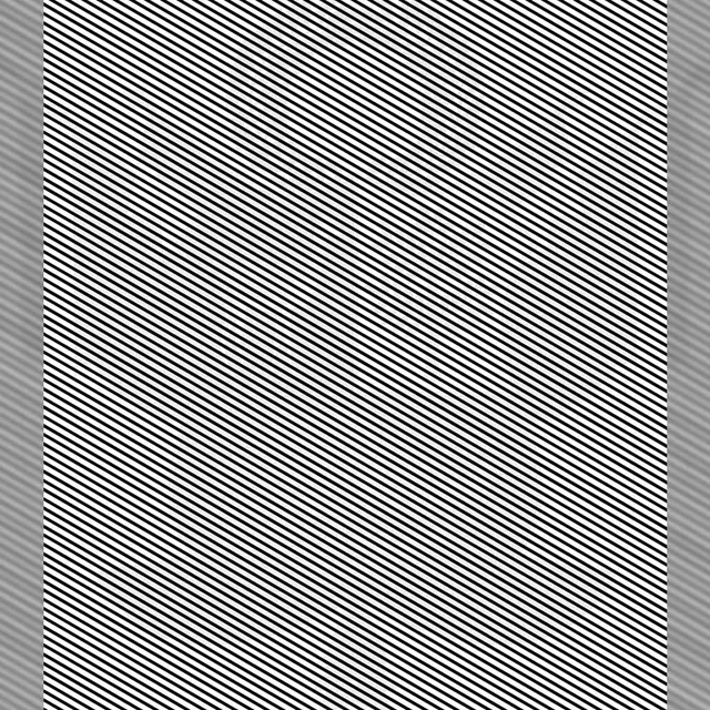 ¿Puedes ver la imagen que se esconde entre barras? (Foto: composición Líbero)   