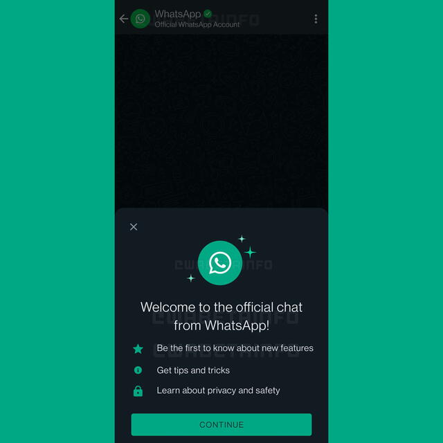 Captura del Chat Oficial de WhatsApp (Foto: WABeta Info)   