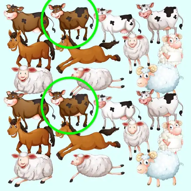 Foto: Bright Side Foto: Bright Side