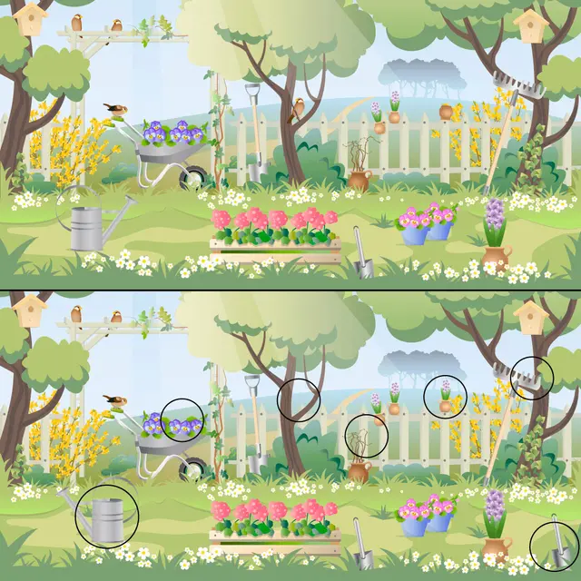 Forma parte del 10% de personas que hallaron las 7 diferencias en 10 segundos