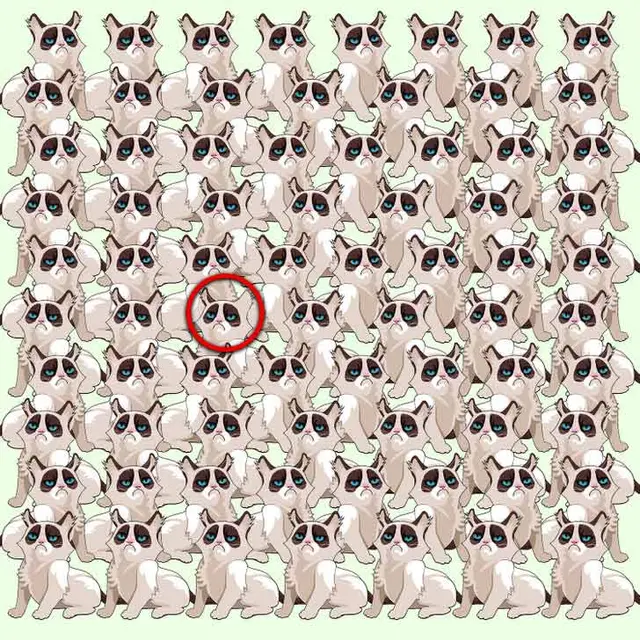 reto visual
