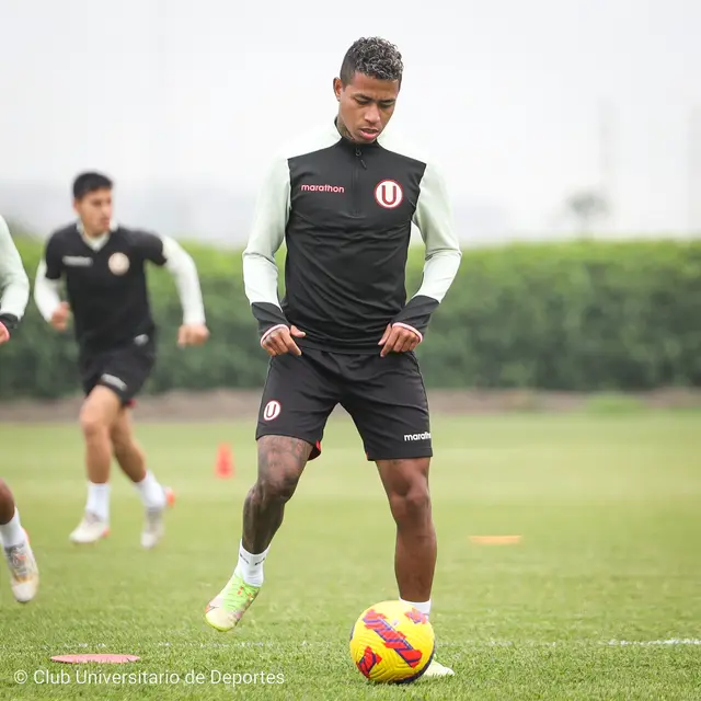 Universitario