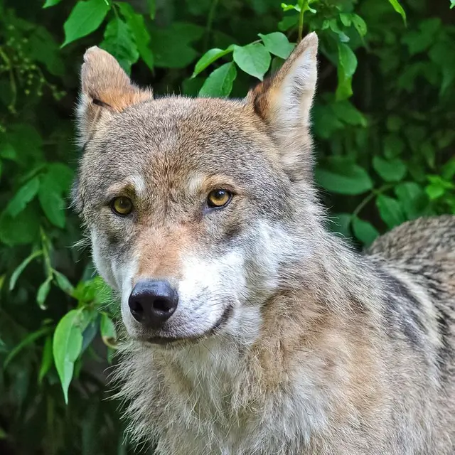 Reto visual Reto visual