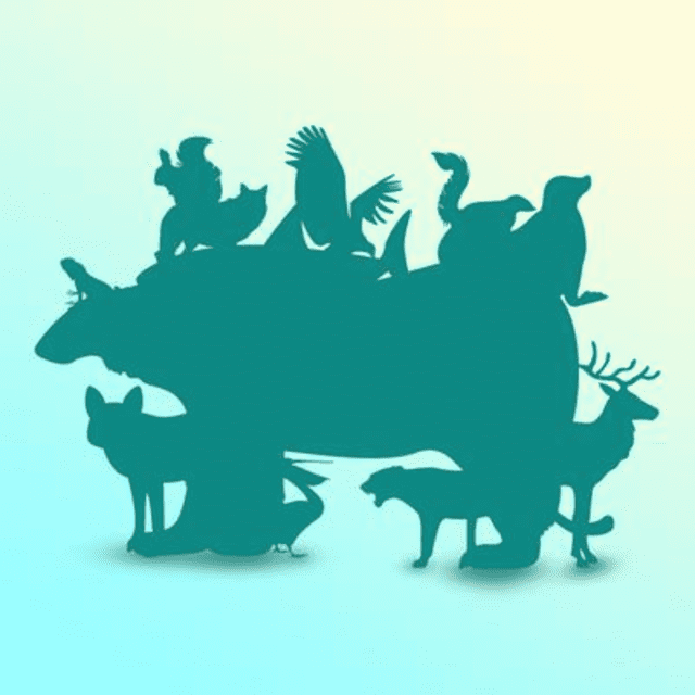 Reto visual Reto visual