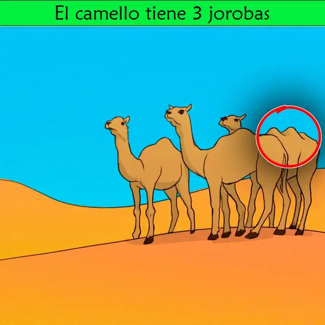 reto visual