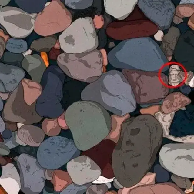 Reto visual Reto visual