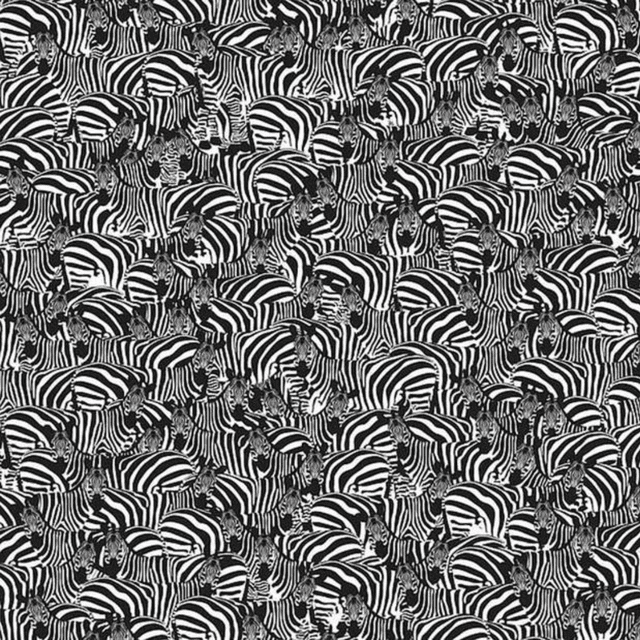 Reto visual Reto visual