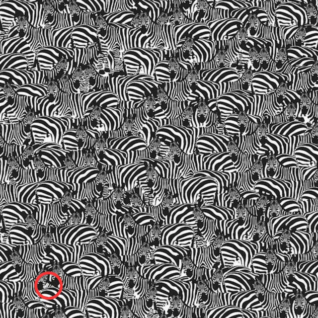 Reto visual Reto visual