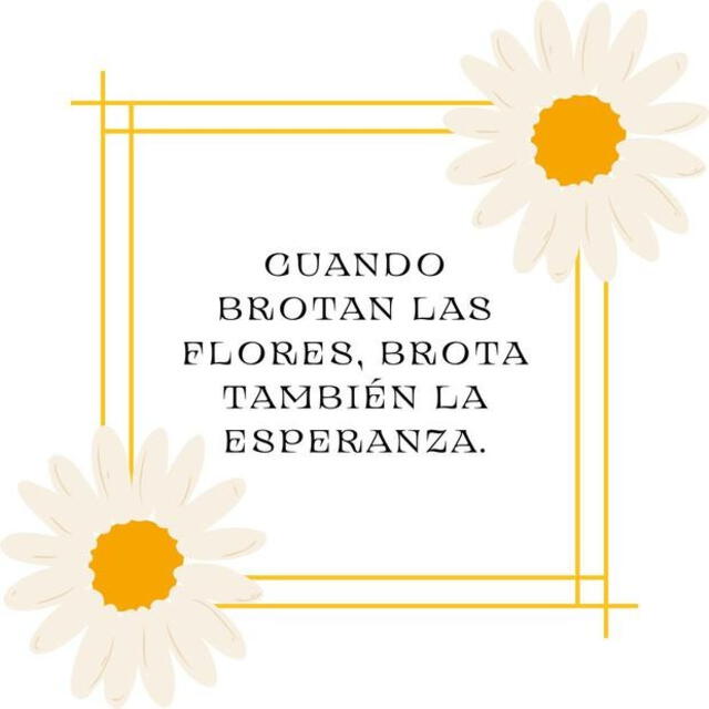 Frases flores Amarillas Frases flores Amarillas