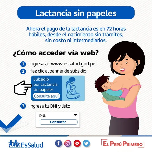 bono de lactancia materna essalud bono de lactancia materna essalud