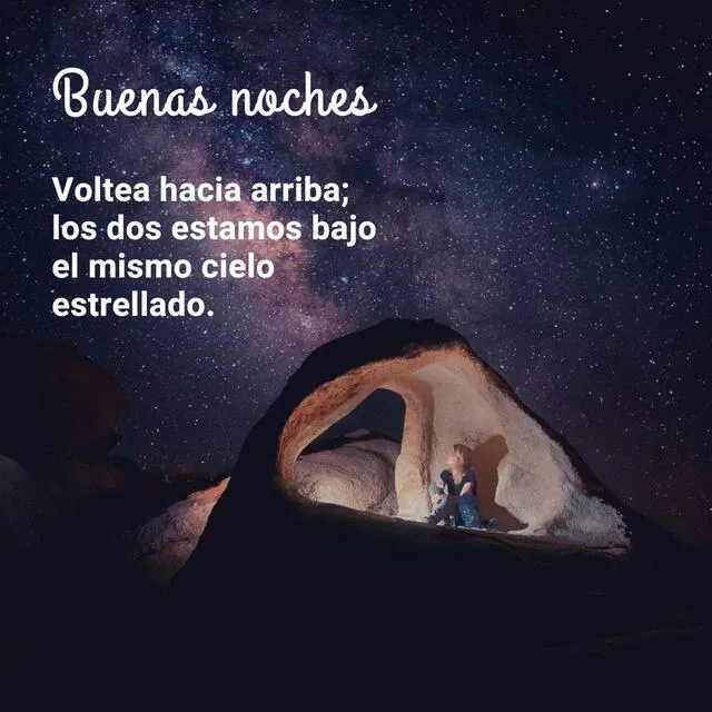 WhatsApp WhatsApp