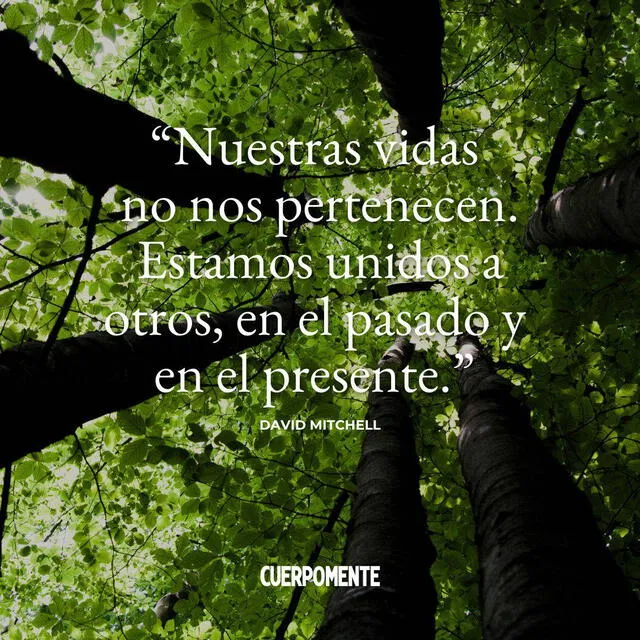 Frases para el Día de Todos los Santos 2024