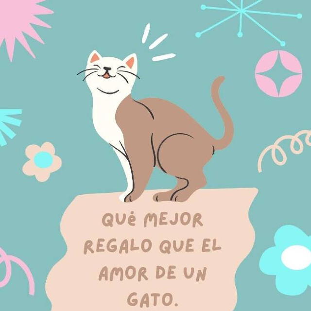 Día del gato Día del gato