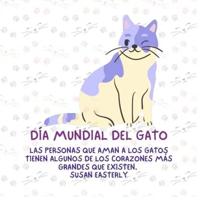 Día del gato Día del gato