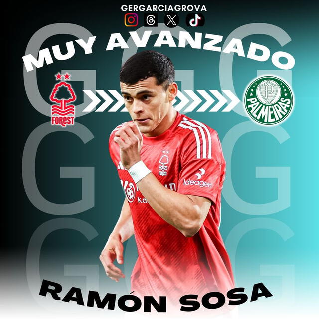 Palmeiras Palmeiras
