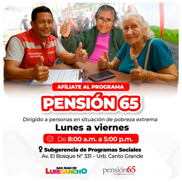 Pensión 65