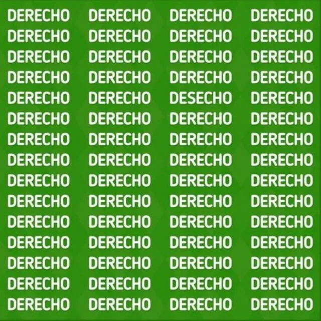 ¿Logras ver la palabras 'Desecho'? resuélvelo en 10 segundos
