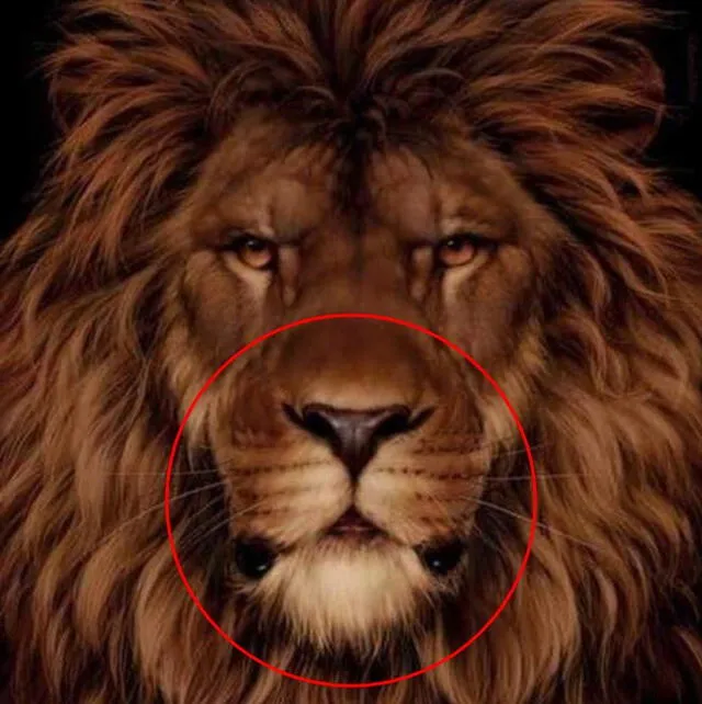 reto visual, reto viral