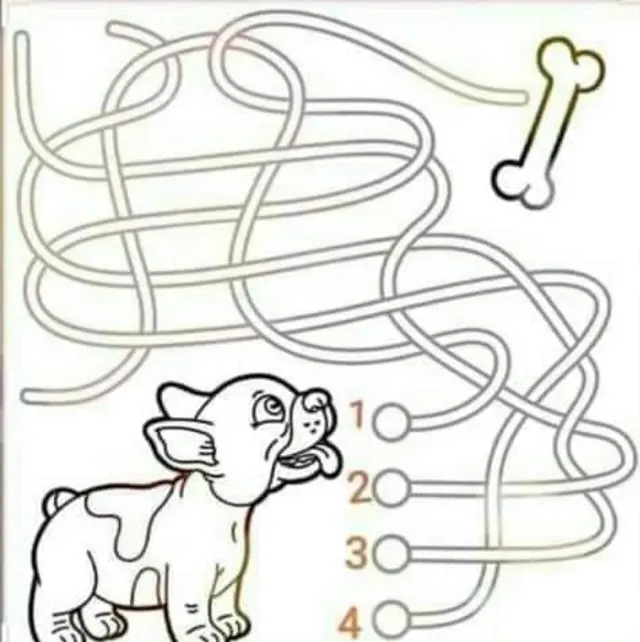 retos visuales, retos virales