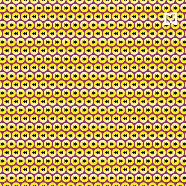acertijos virales, retos visuales