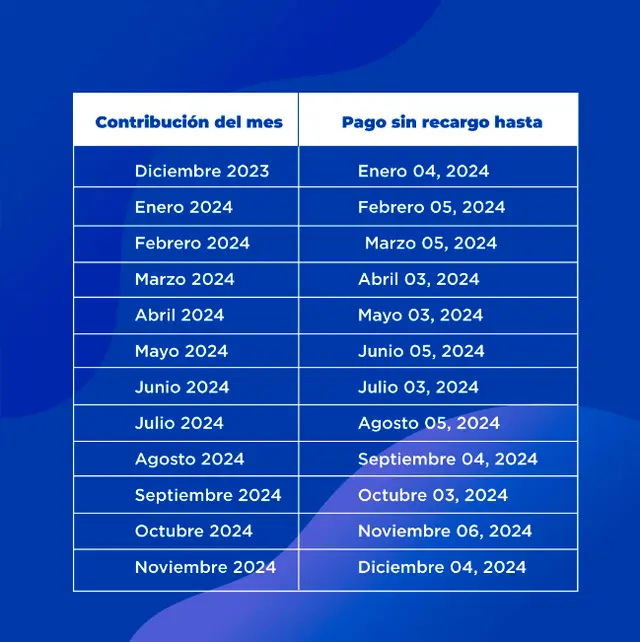 TSS Calendario de pagos 2024