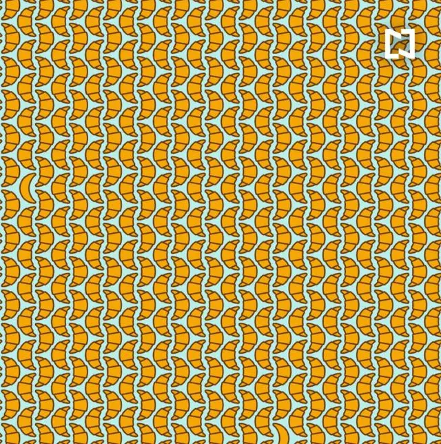 retos visuales, retos virales