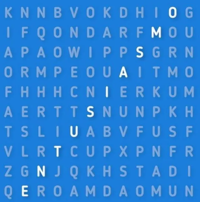 Respuesta al reto visual en sopa de letras Respuesta al reto visual en sopa de letras