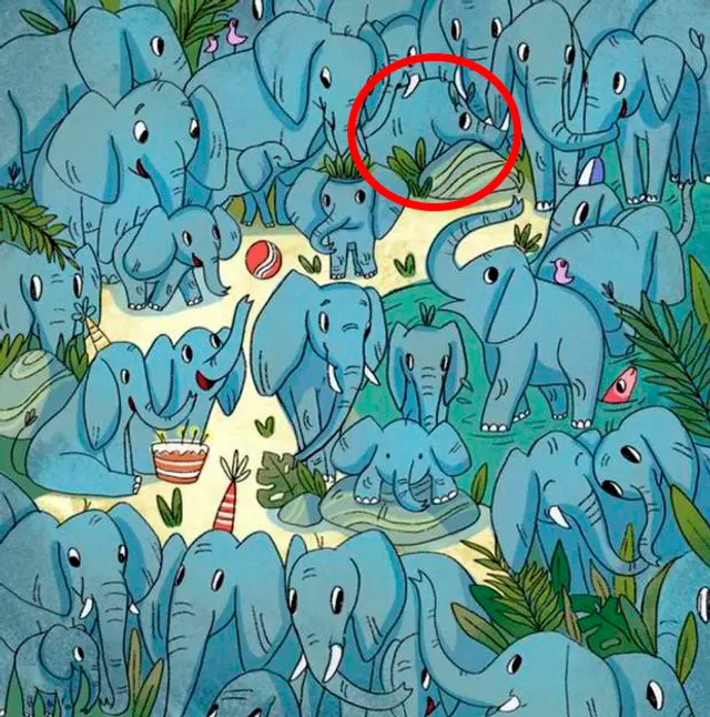Respuesta del reto visual dónde está el rinoceronte