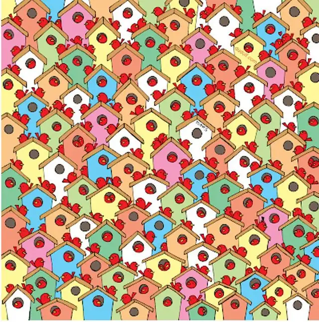 Reto visual: Encuentra las tres manzanas entre los pajaritos   