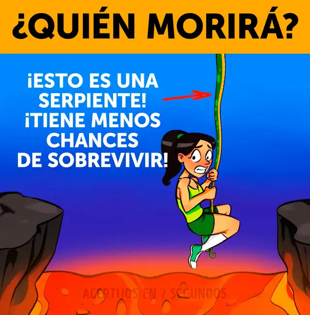 acertijo visual acertijo visual
